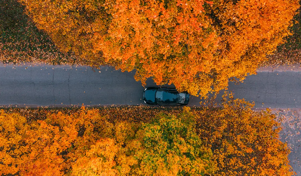 È arrivato l’autunno: i consigli per guidare in piena sicurezza